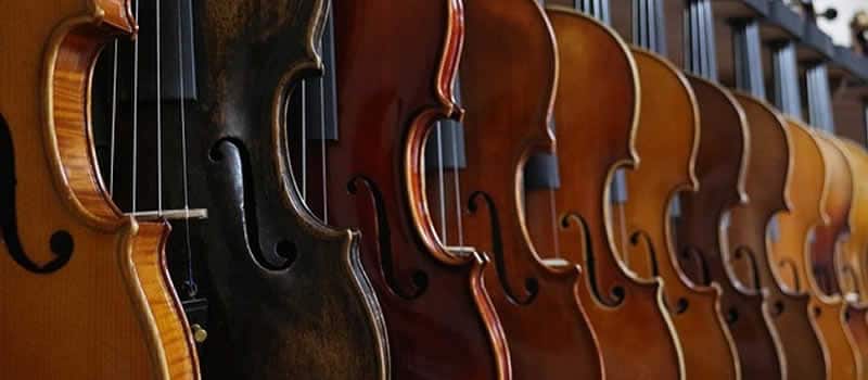 violines